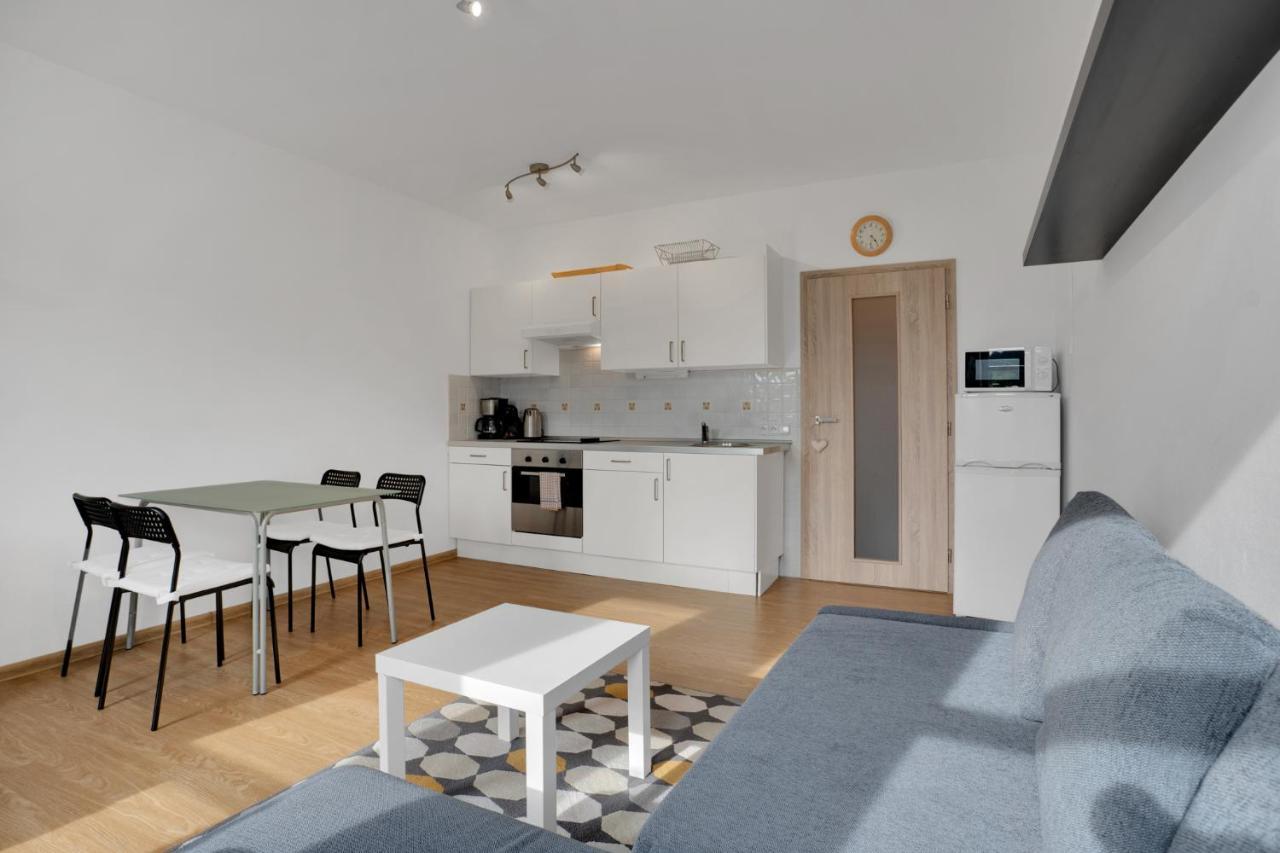 Horsky Apartman Klinovec 4 Loučná pod Klínovcem Екстериор снимка